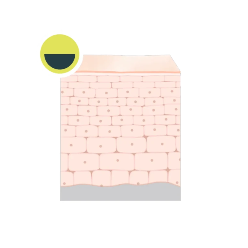 Rejuvenation & Global Protection