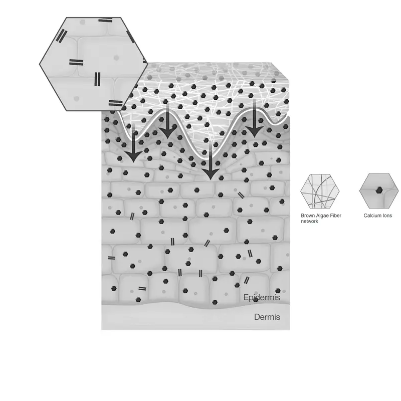 Stimulation of Aquaporin (Water Channel) Re-production​