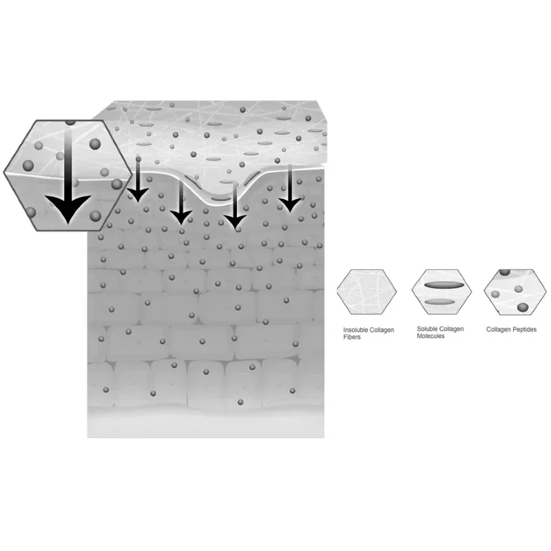 Regeneration & Repair