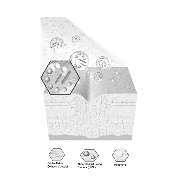 Application of Native Collagen Spray Pure