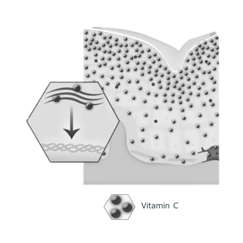 Stimulation of Collagen Synthesis