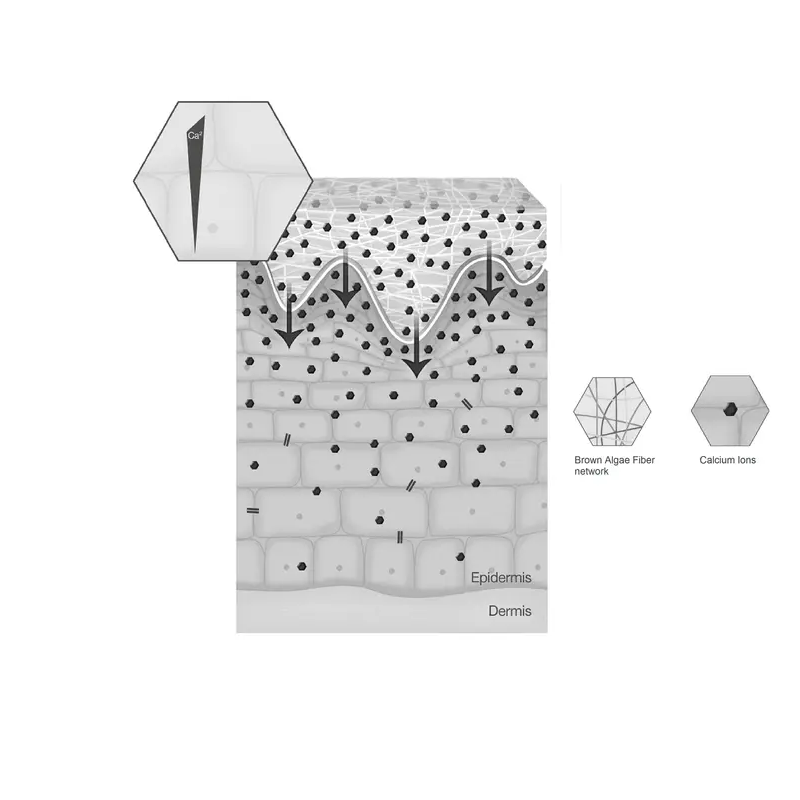 Adjustment of Calcium Gradient​