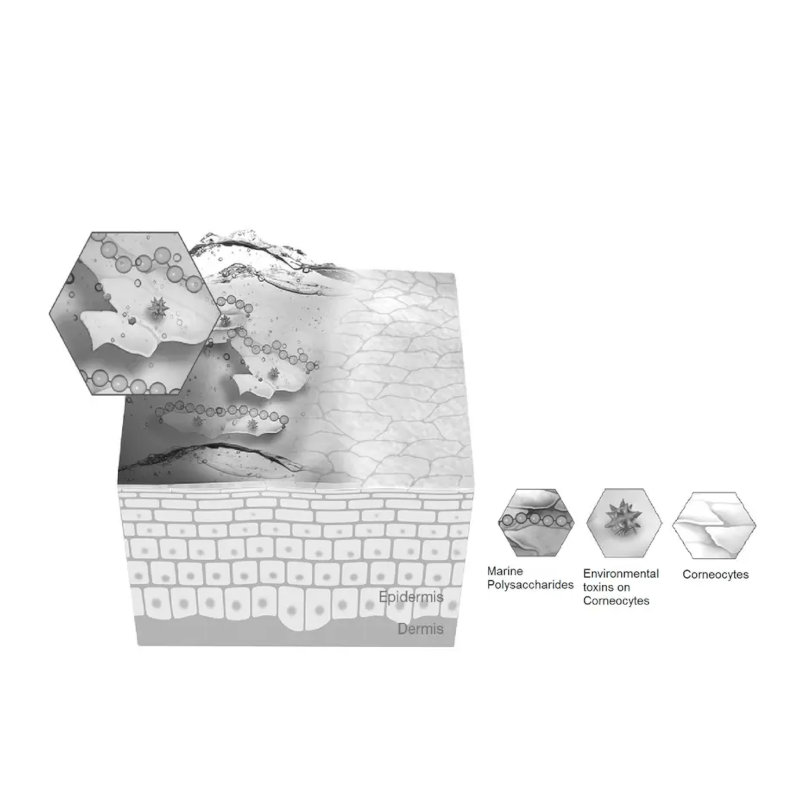 Stimulation of Cell Energy