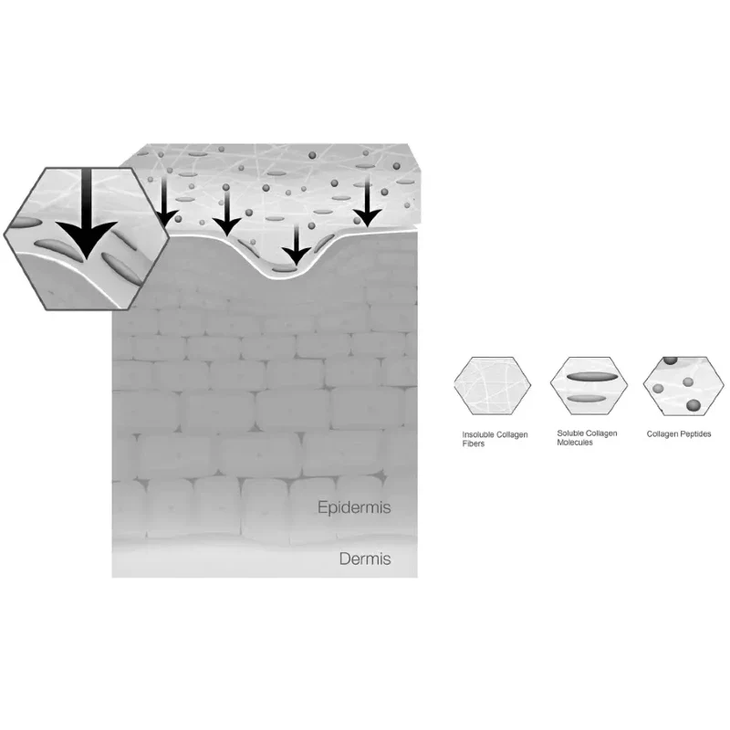 Increase in Skin’s long-term Moisture-Binding Capacity