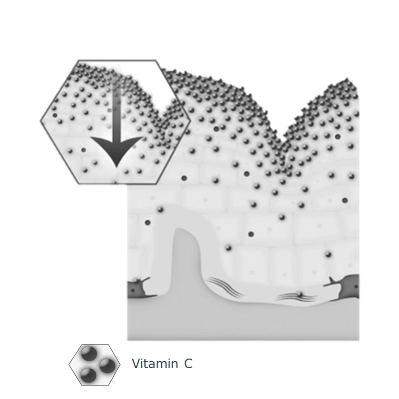 Application & Release