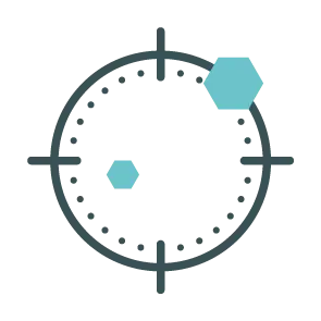 1. Setting Goals and Scoping Project
