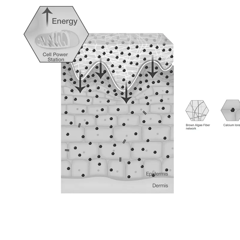 Stimulation of ​Cell Energy​