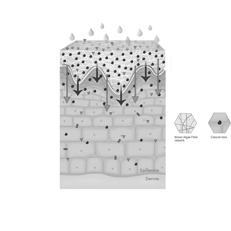 Activation & Release of Active Ingredients​