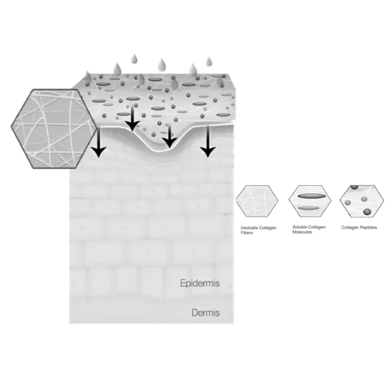 Immediate Anti-Irritation