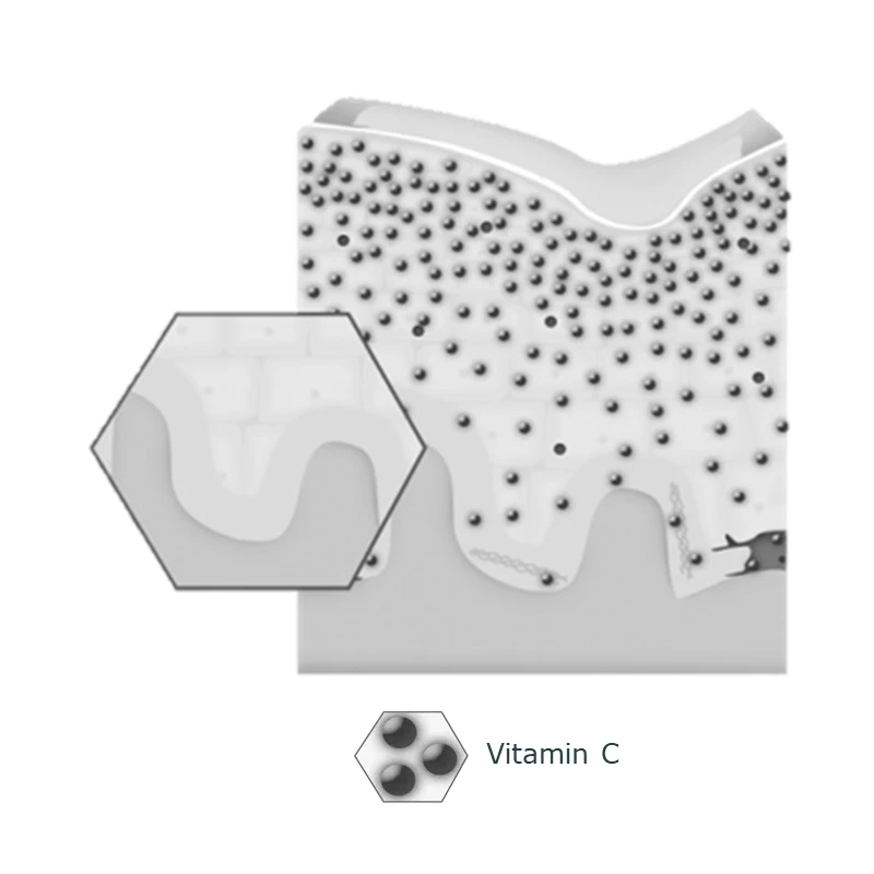 Stimulation of Cell Metabolism