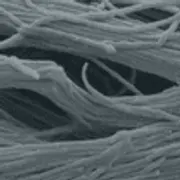 MatriDerm FDA Clearance